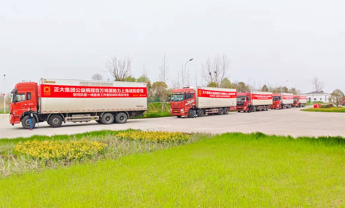 壹定发(中国游)最新官方网站